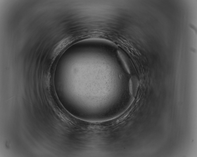 X0000093210242200709261602