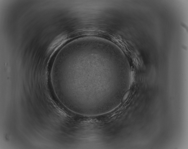 X0000093210243200709261602