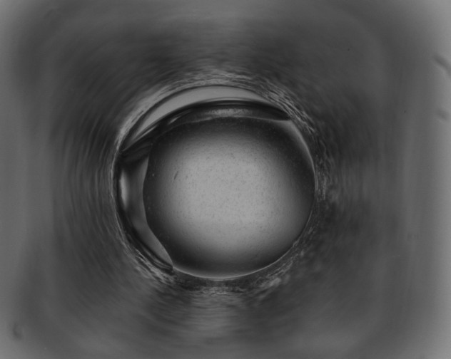 X0000093210244200709261602