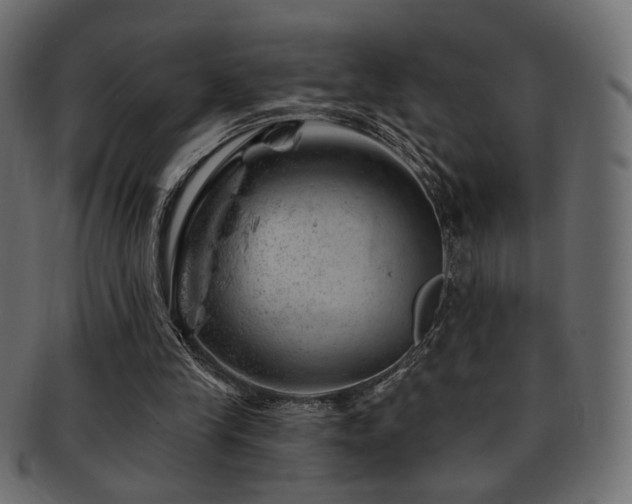 X0000093210245200709261602
