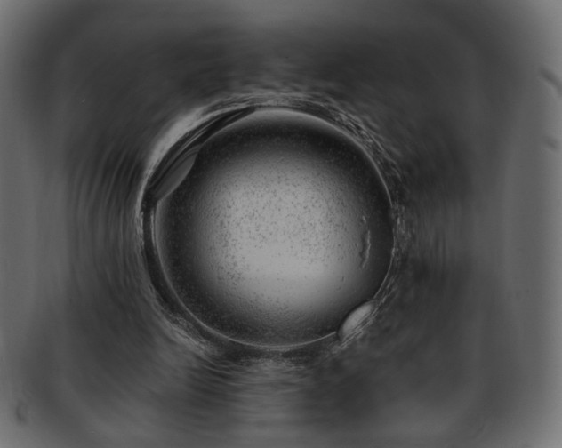 X0000093210246200709261602