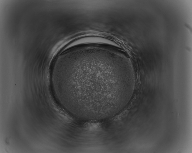 X0000093210247200709261602