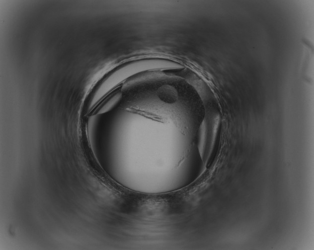 X0000093210248200709261602