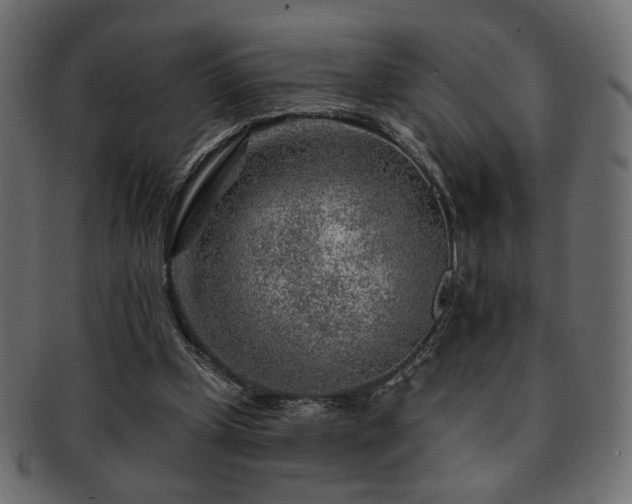 X0000093210249200709261602