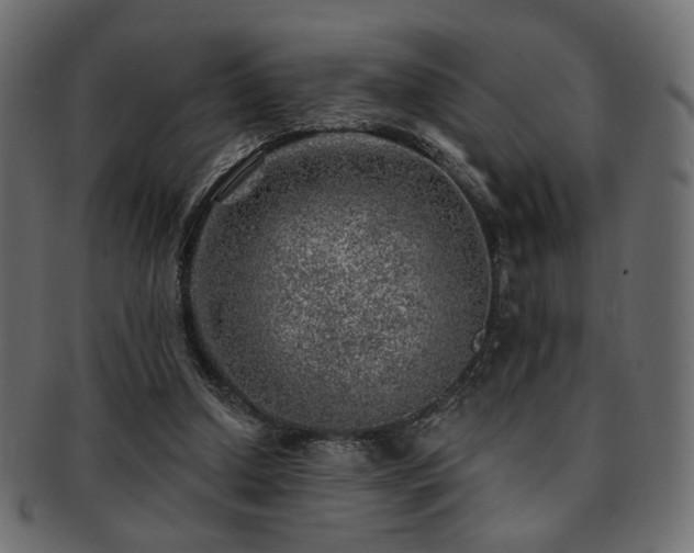 X0000093210250200709261602