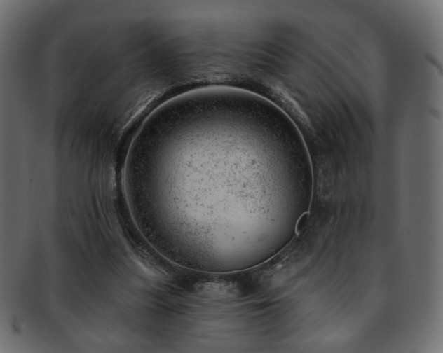 X0000093210251200709261602