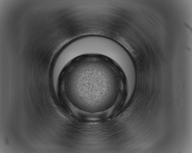 X0000093210252200709261602