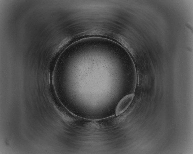 X0000093210253200709261602