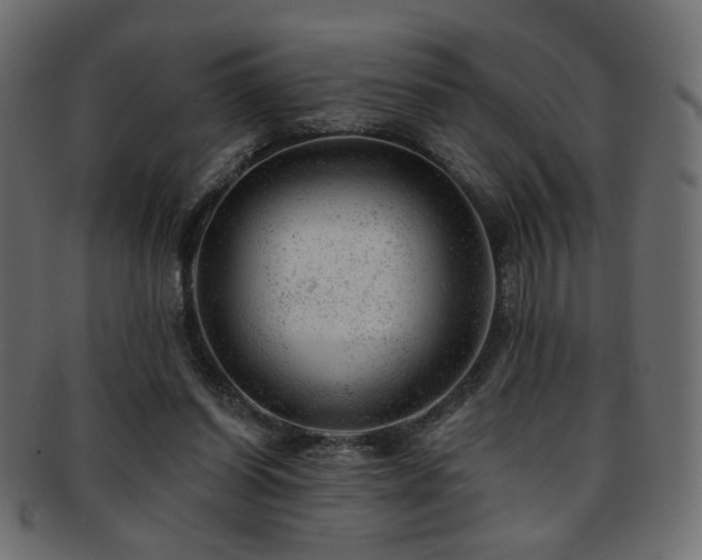 X0000093210254200709261602
