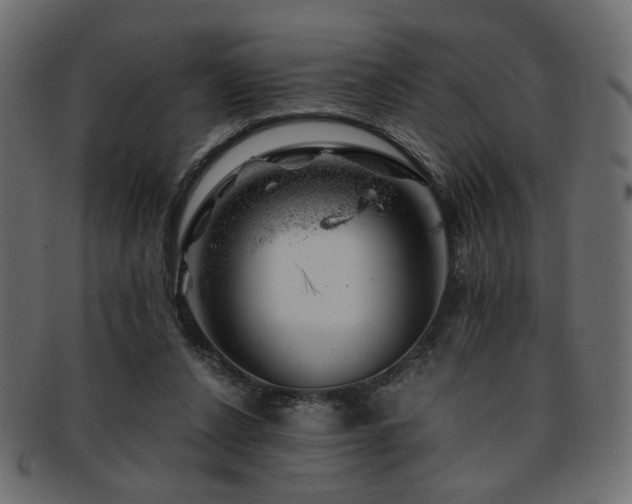 X0000093210256200709261602