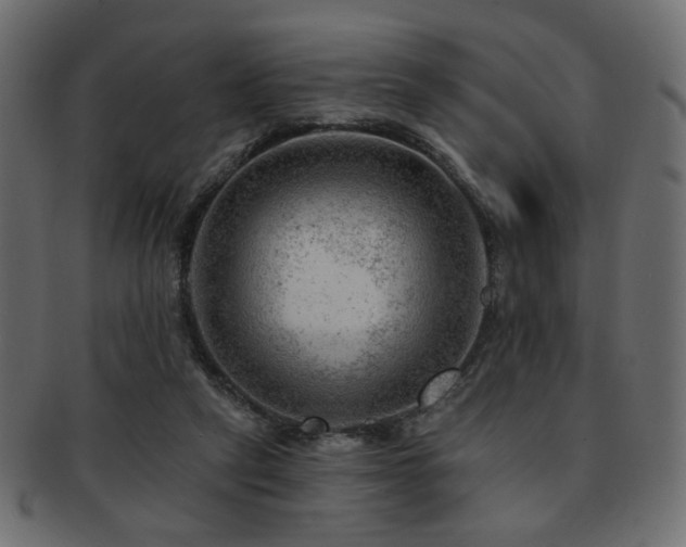 X0000093210257200709261602