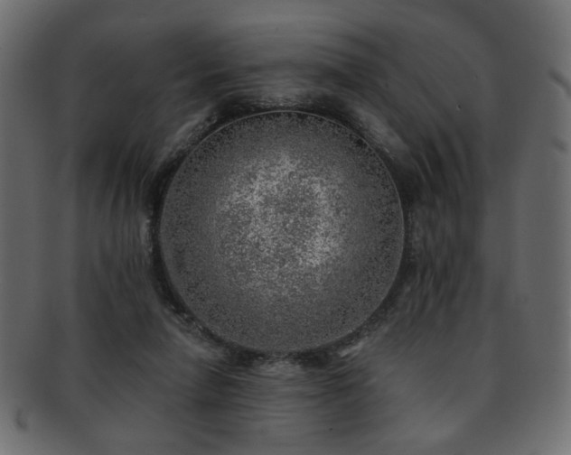 X0000093210258200709261602