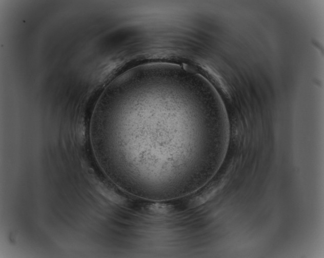 X0000093210261200709261602