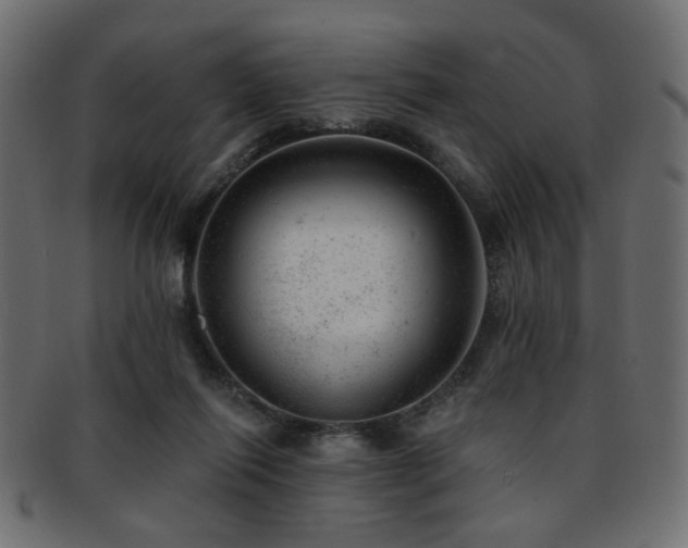 X0000093210262200709261602