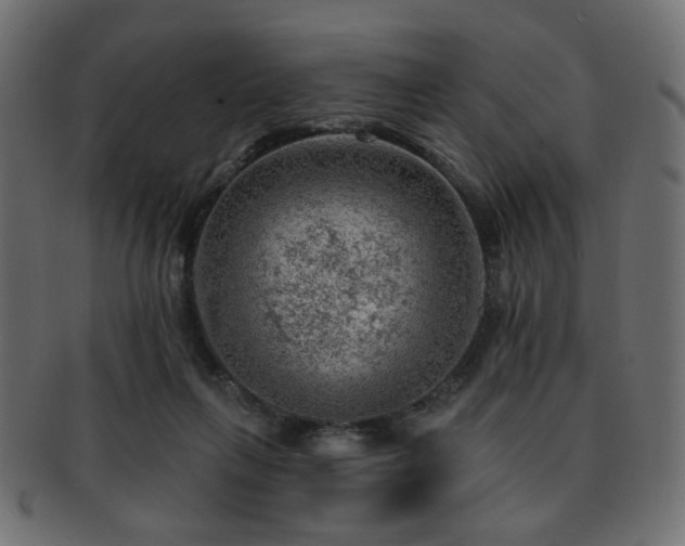 X0000093210263200709261602