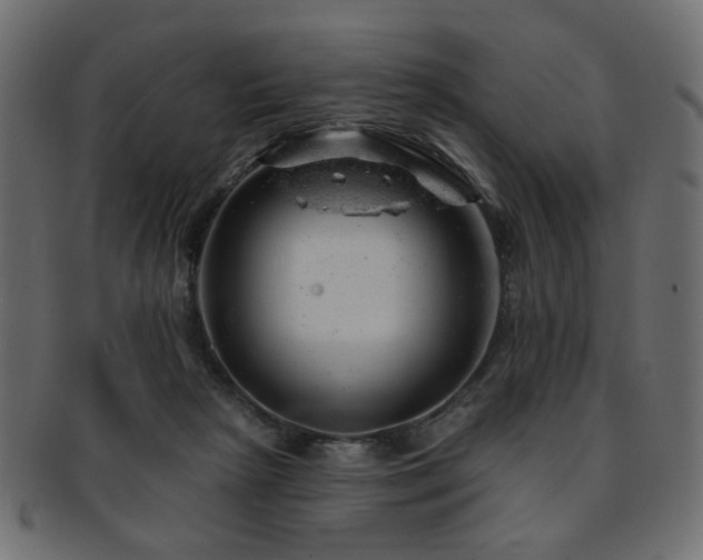 X0000093210265200709261602