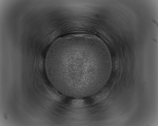 X0000093210266200709261602