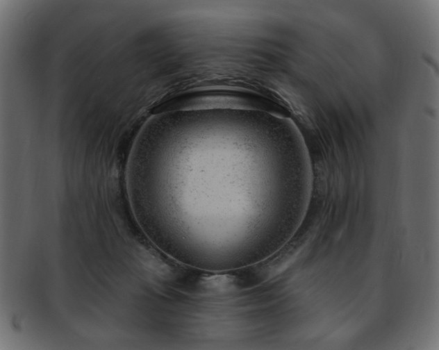 X0000093210269200709261602