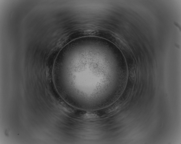 X0000093210270200709261602