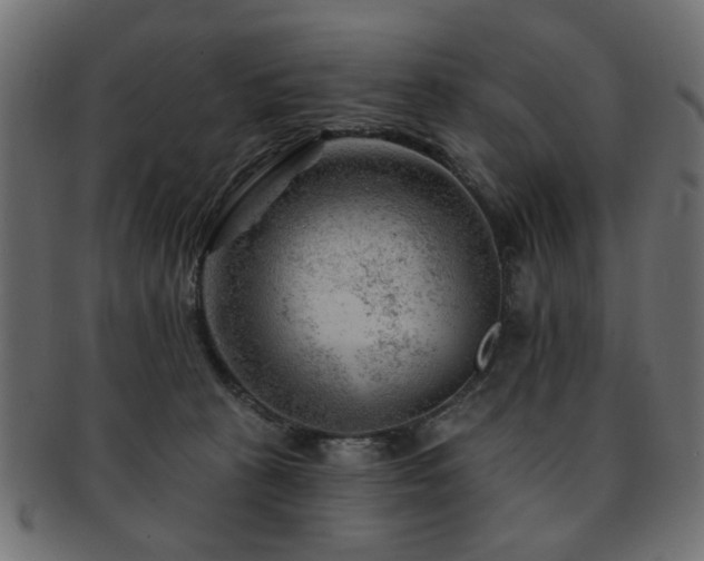 X0000093210273200709261602