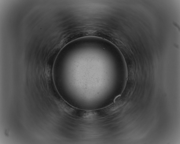 X0000093210274200709261602
