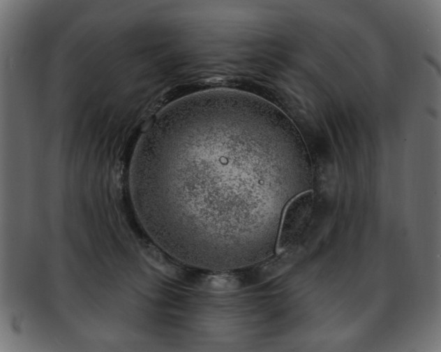 X0000093210275200709261602