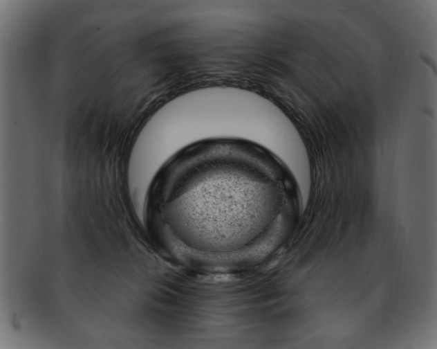 X0000093210276200709261602