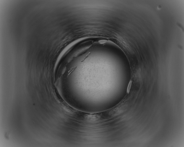 X0000093210277200709261602