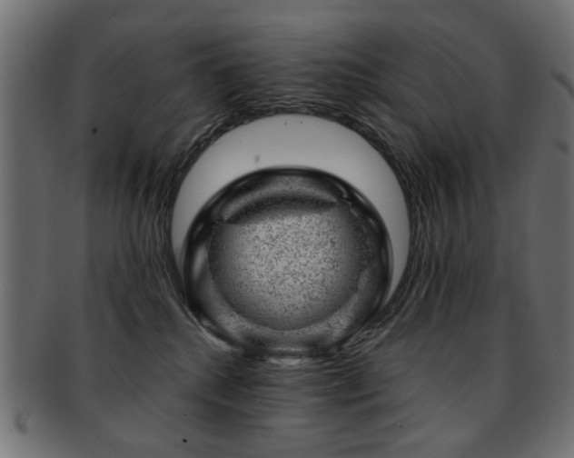 X0000093210280200709261602