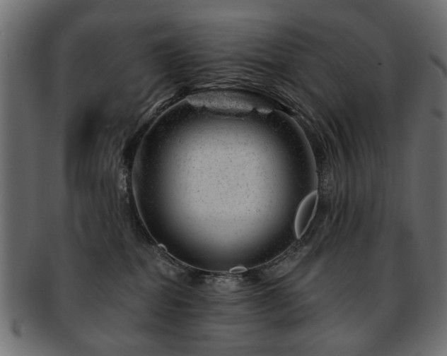 X0000093210282200709261602