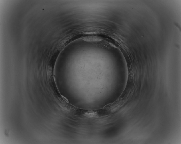X0000093210283200709261602