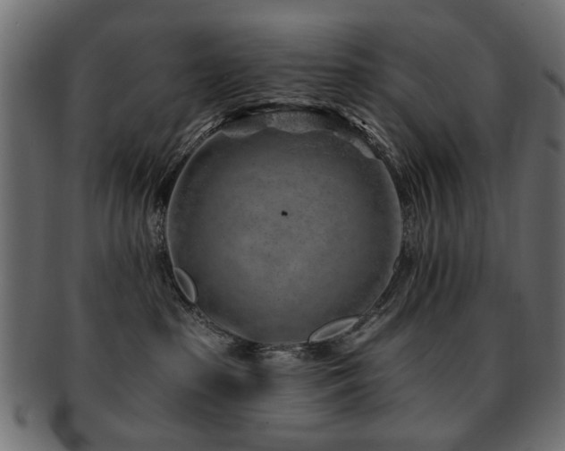 X0000093210285200709261602