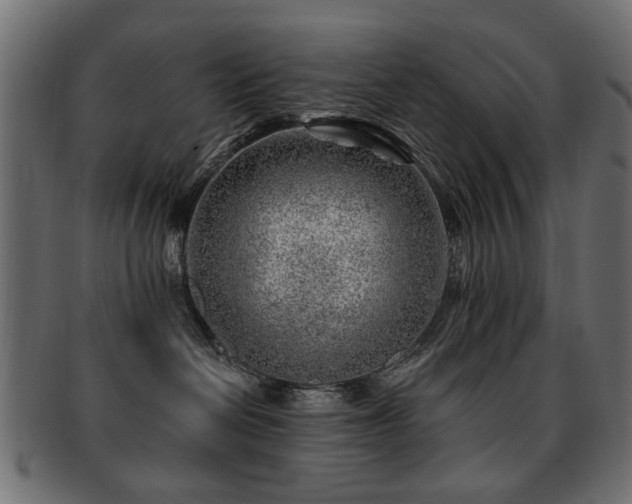 X0000093210286200709261602
