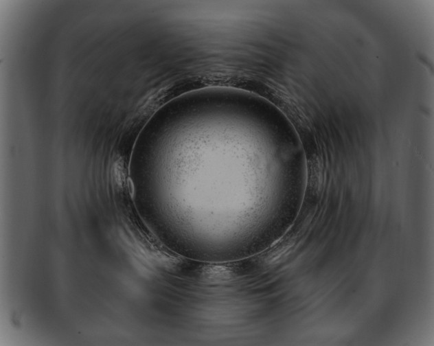 X0000093210287200709261602