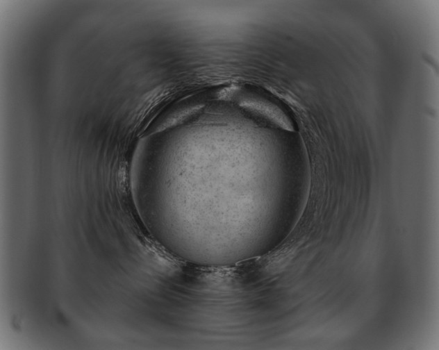 X0000093210288200709261602