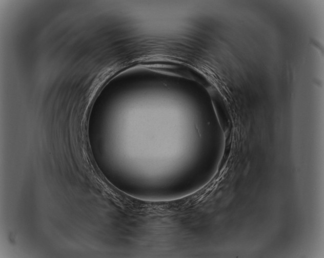 X0000093210289200709261602