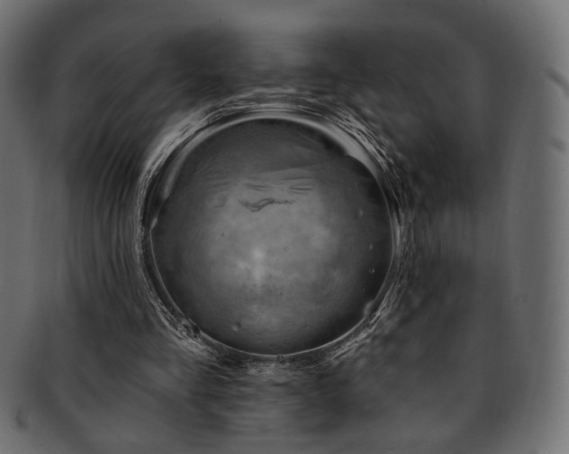 X0000093210293200709261602