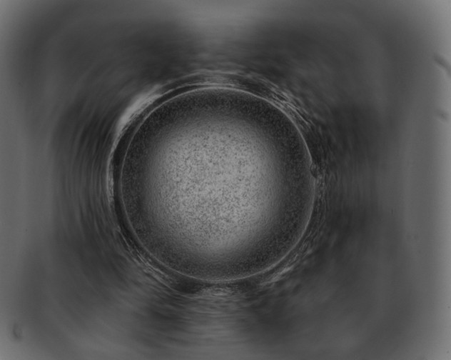 X0000093210294200709261602