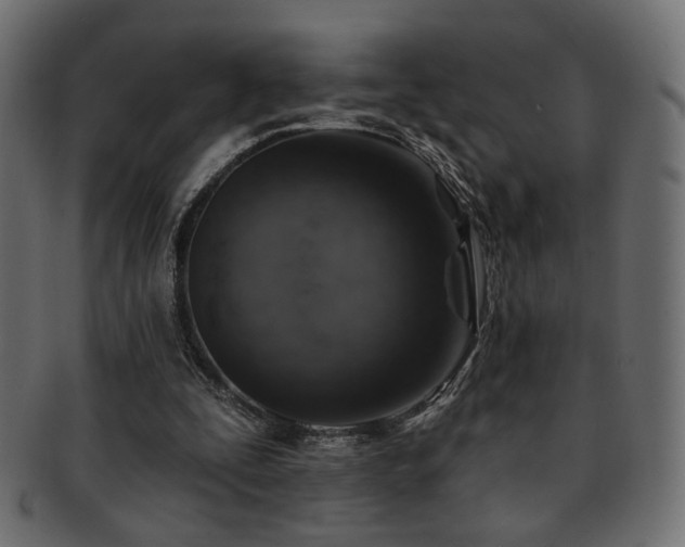 X0000093210295200709261602