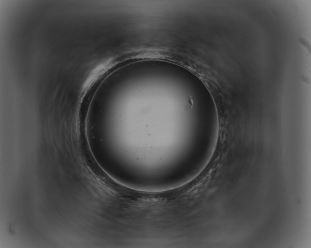 X0000093210296200709261602