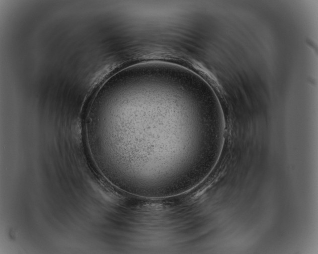 X0000093210298200709261602