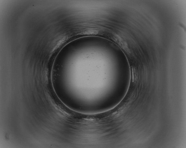 X0000093210300200709261602