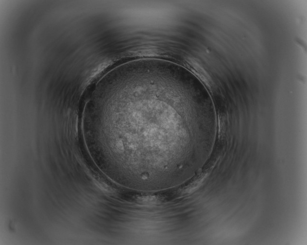 X0000093210301200709261602