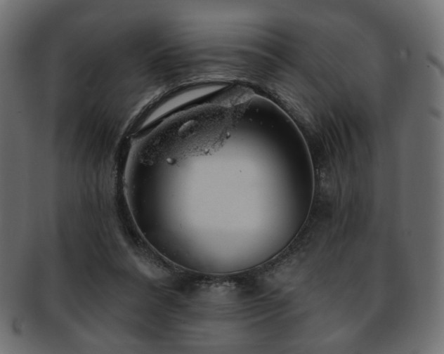 X0000093210304200709261602