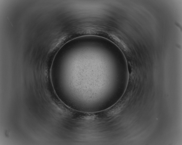 X0000093210306200709261601