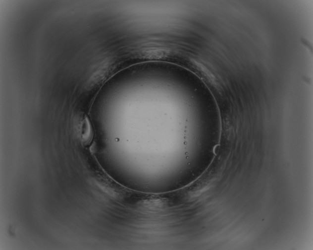 X0000093210307200709261601