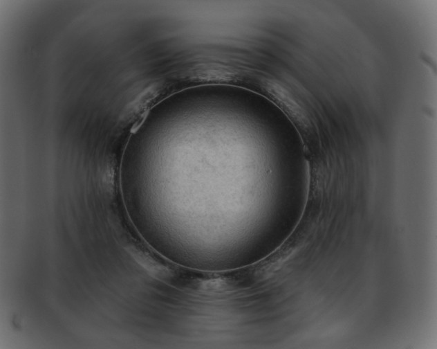 X0000093210309200709261601