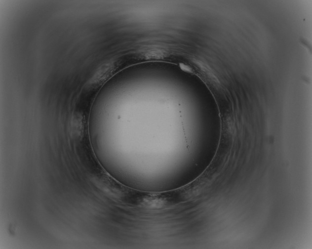 X0000093210311200709261601