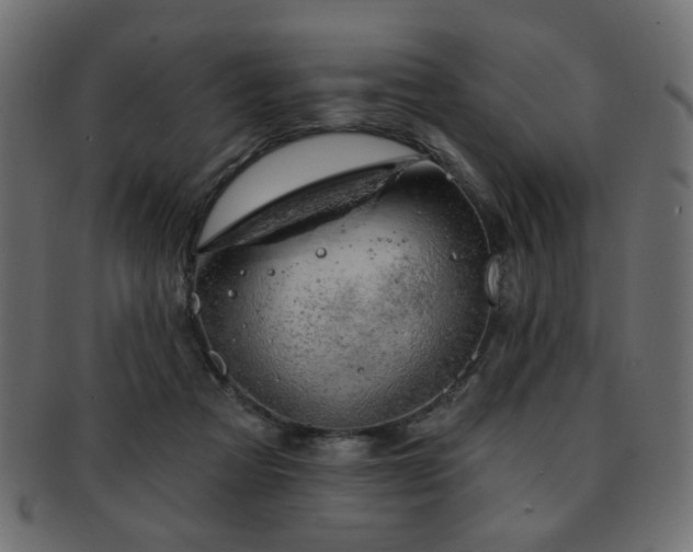 X0000093210313200709261601