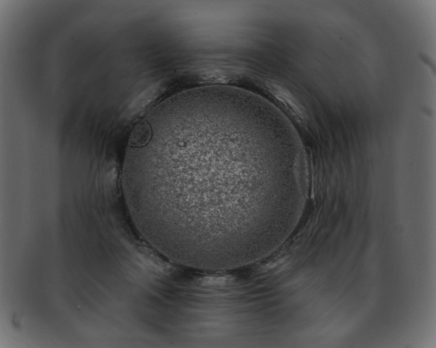 X0000093210314200709261601